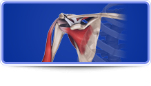Shoulder Surgery - Carlos Gonzalez-Sandoval,M.D.